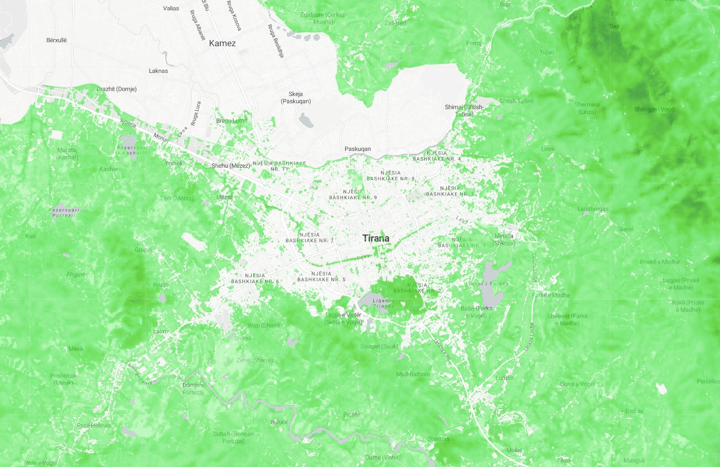 Forest Canopy Height