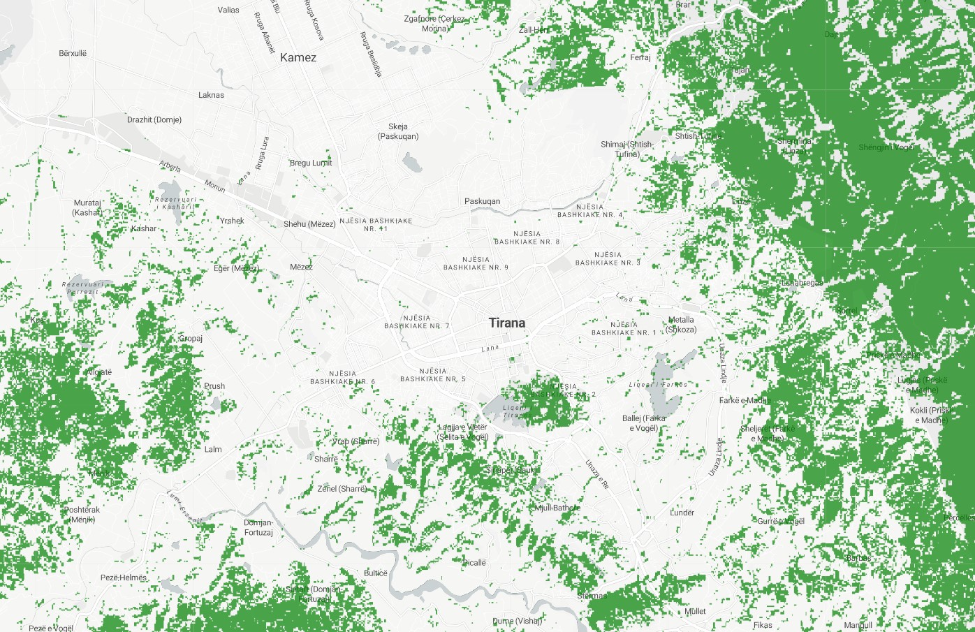 Forest Cover